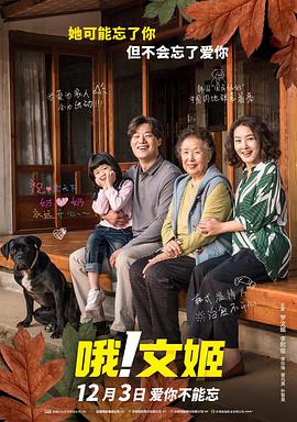 伊人网视频